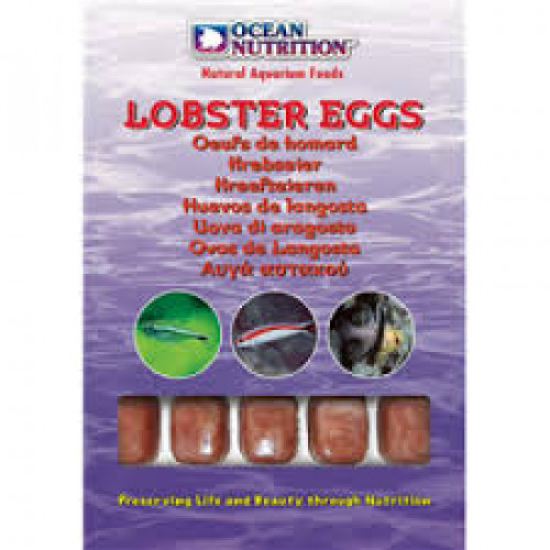 Ocean Nutrition Lobster Eggs
