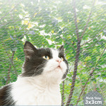 ΔΙΧΤΥ ΑΣΦΑΛΕΙΑΣ ΜΠΑΛΚΟΝΙΟΥ 3*2m