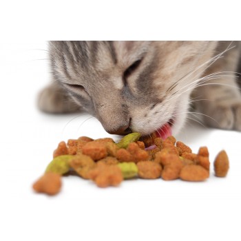 Ξηρά Τροφή Γάτας