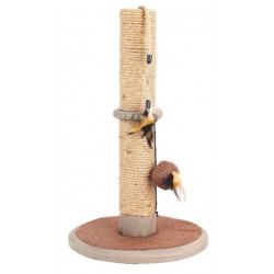 Ονυχοδρόμιο Γάτας Pawise με παιχνίδι