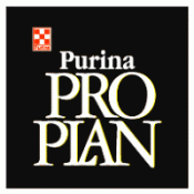 Pro Plan