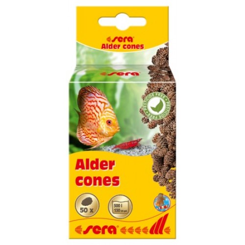 Sera Alder Cones 50τεμ
