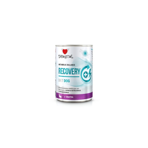 Disugual Metabolic Balance Recovery 400g