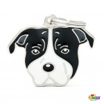 Ταυτότητα Dogs Pitbull