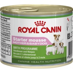 Royal Canin Starter Mousse Can 195gr