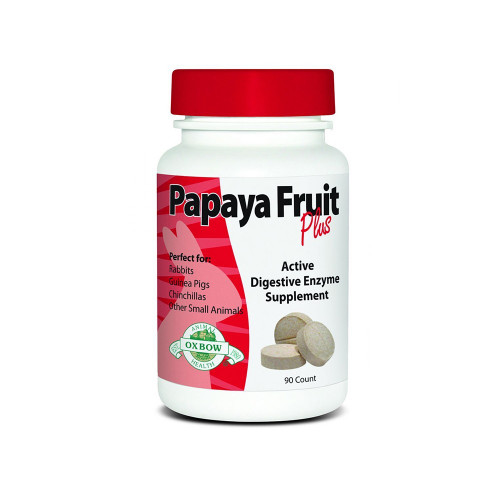 Συμπλήρωμα Διατρφής Papaya Fruit 91gr